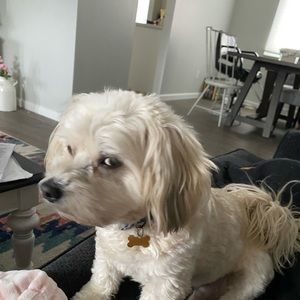 Meet your Posher, Natalie